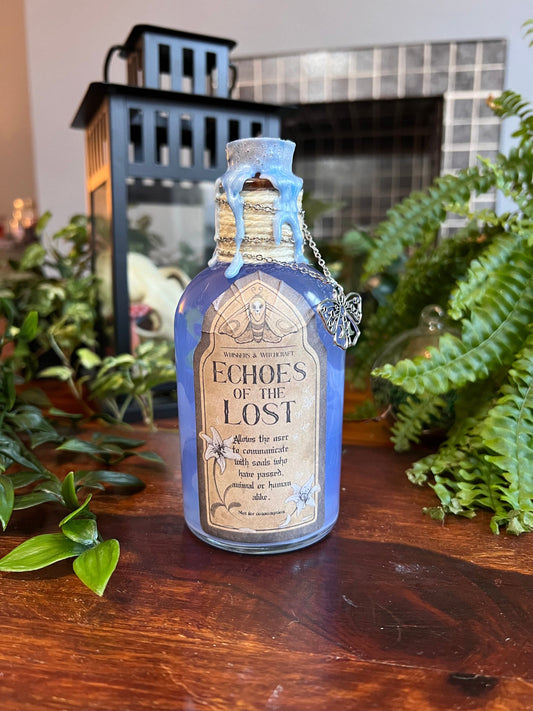 Echoes of the Lost